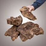 Leña de Olivo 12 kg para Chimenea y Barbacoa - Imagen 3