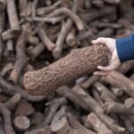 Leña de Encina en Palet 1 m³ para Chimenea y Barbacoa - Imagen 3
